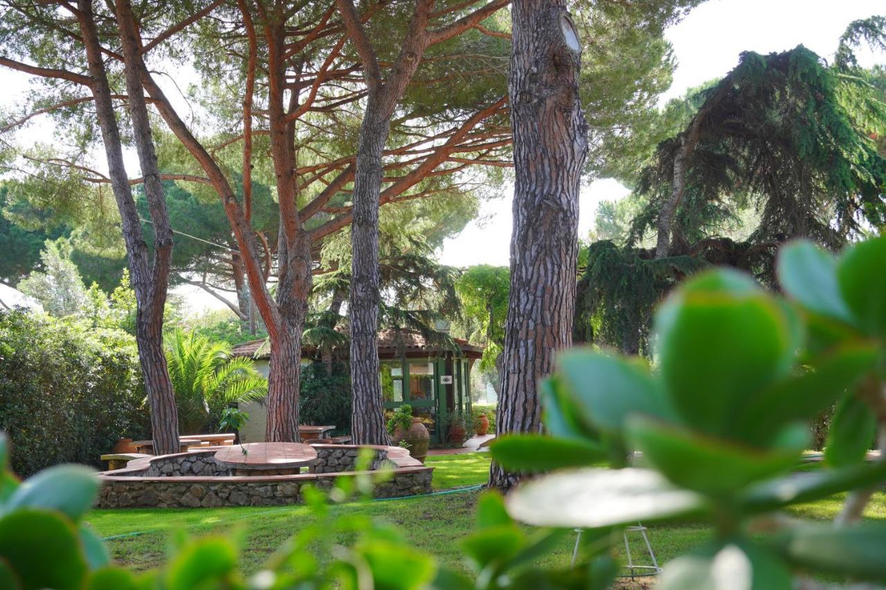 Hotel Marelba